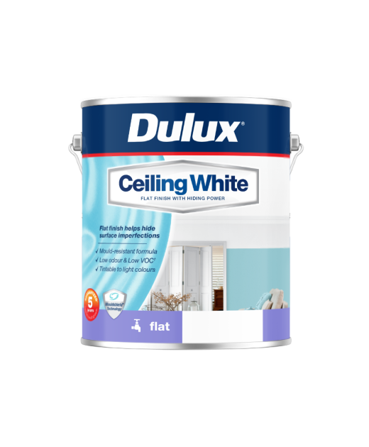 Ceiling White Dulux