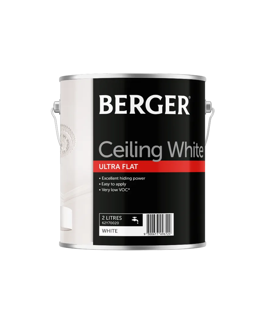 Ceiling Flat