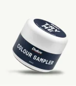 100ml Colour Sample Pot