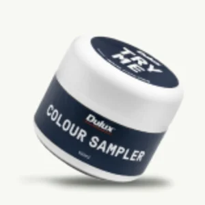 Silkwort Neutrals - SN4 | Dulux