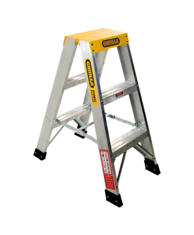 Double Sided Ladder