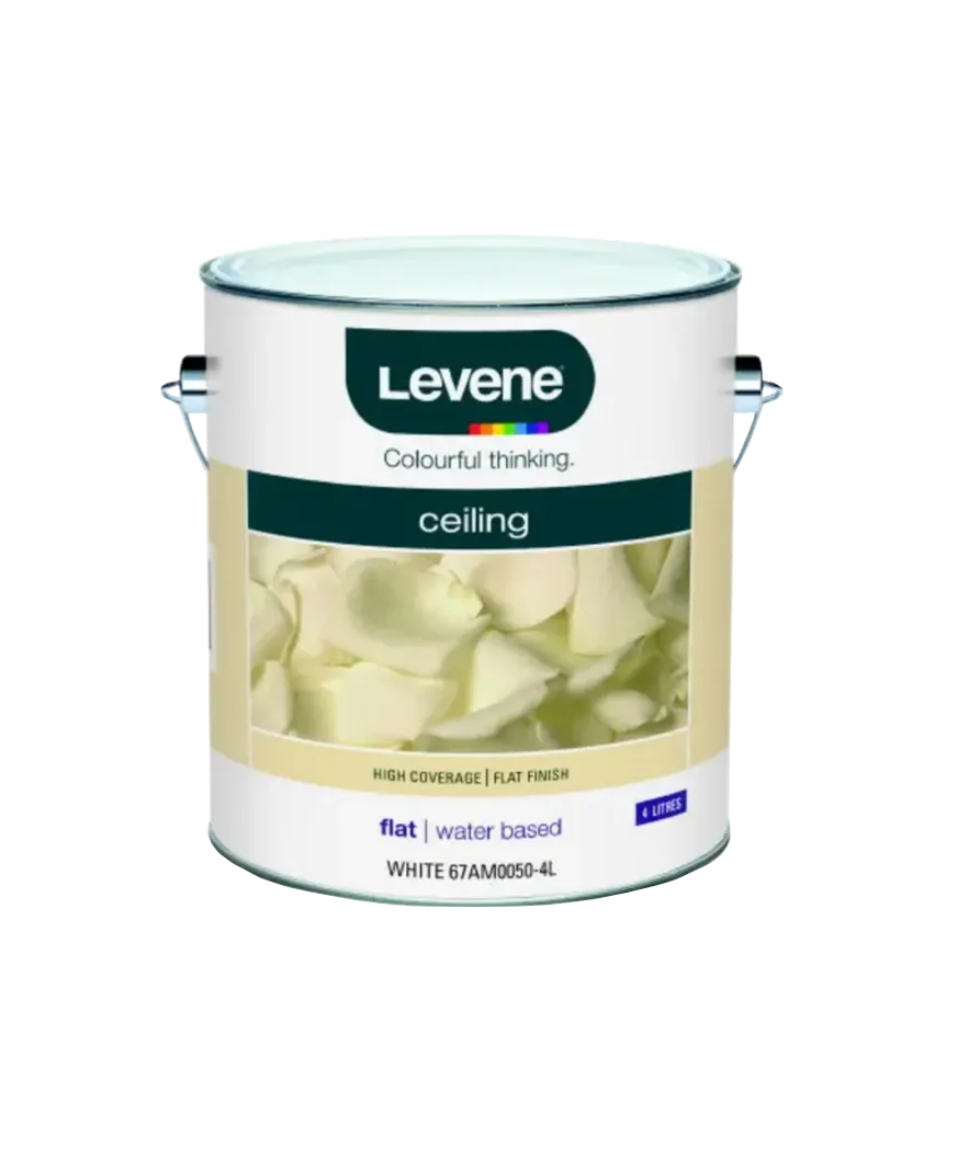 Interior (Paint Spot only) Ceiling White