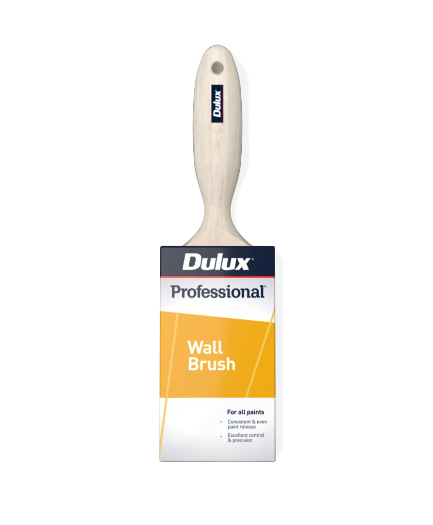 Professional Wall Brush