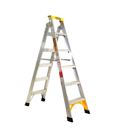 Dual Purpose Ladder