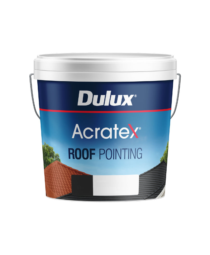 Acratex Roof Pointing Generic 10L