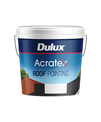 Roof Pointing