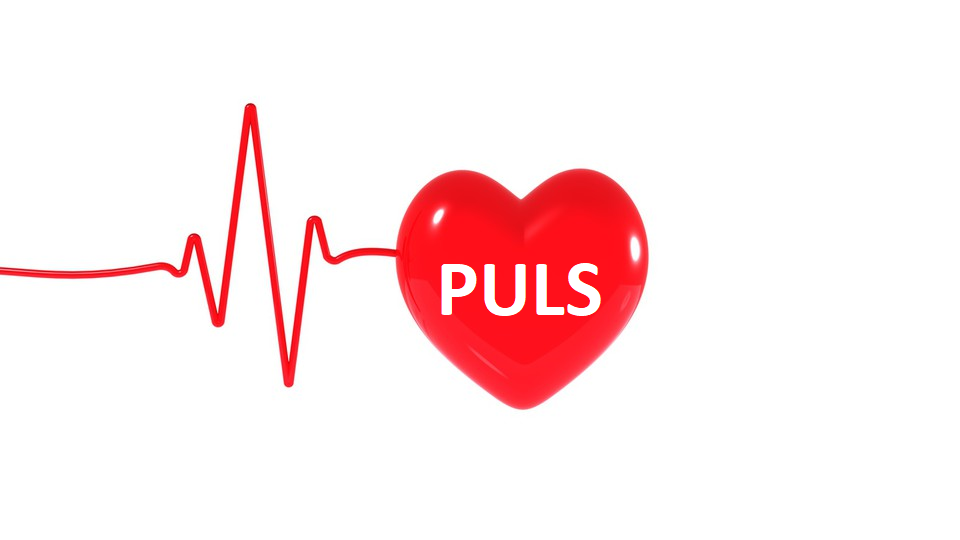 Lecznica Lekarzy Specjalistów PULS S.C. logo