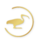 Klinika Medyczna IBIS SP. z o.o i Wspólnicy Sp.k. logo