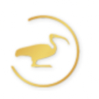 Klinika Medyczna IBIS SP. z o.o i Wspólnicy Sp.k. logo