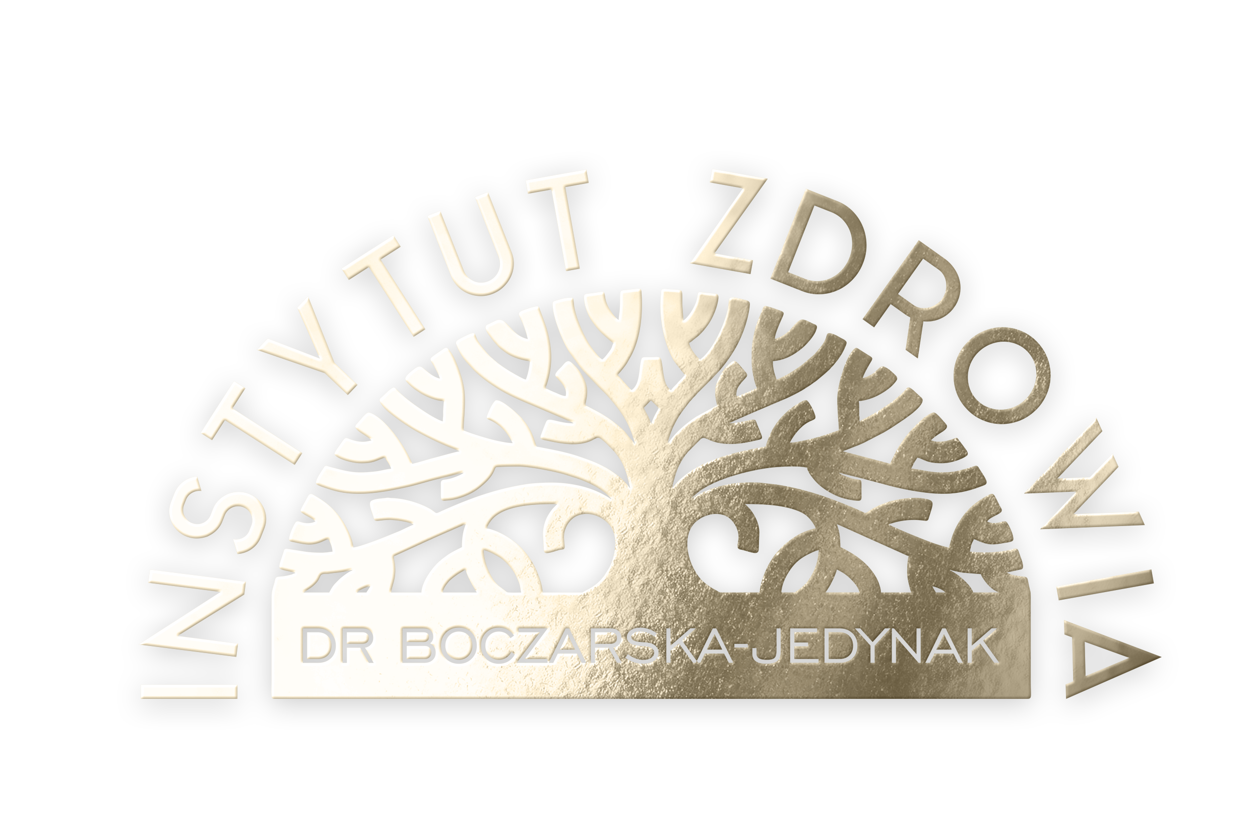 Instytut Zdrowia dr Boczarska-Jedynak logo