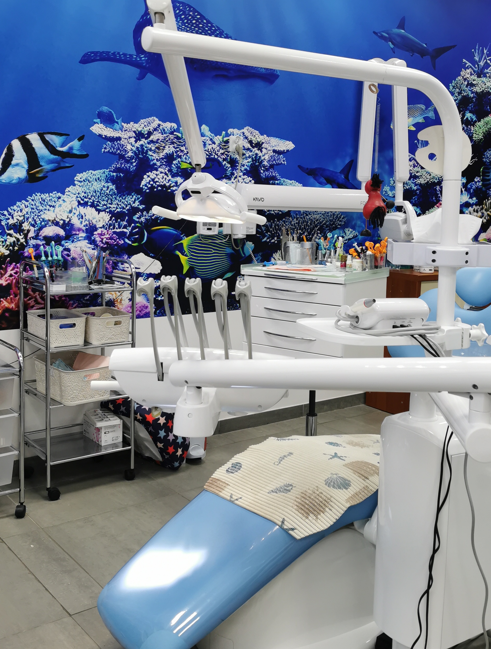 Stomatologia & Radiologia Seyoum logo