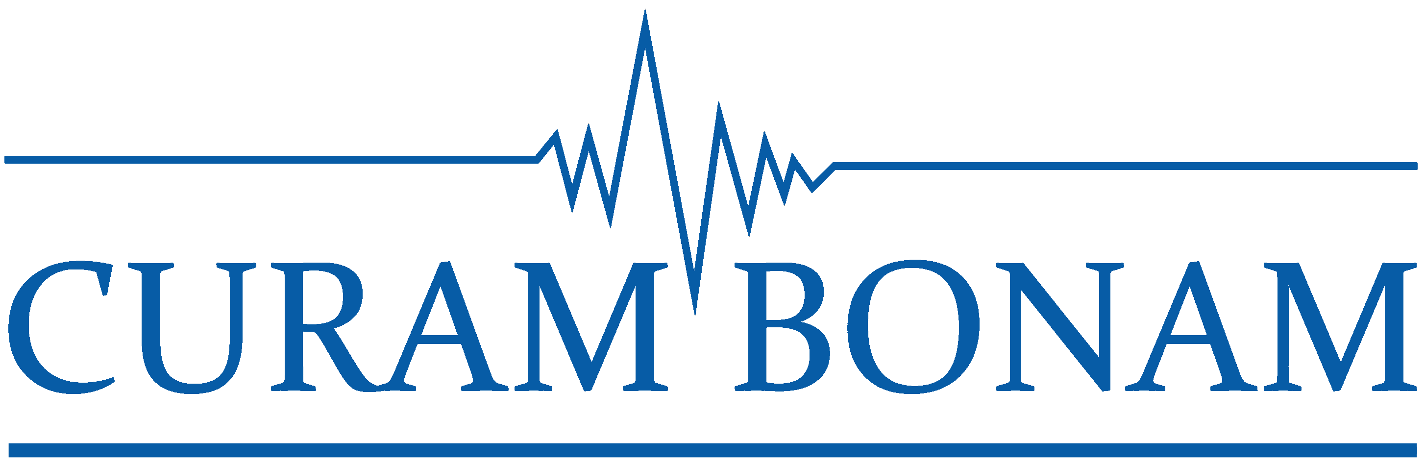 CURAM BONAM GmbH logo