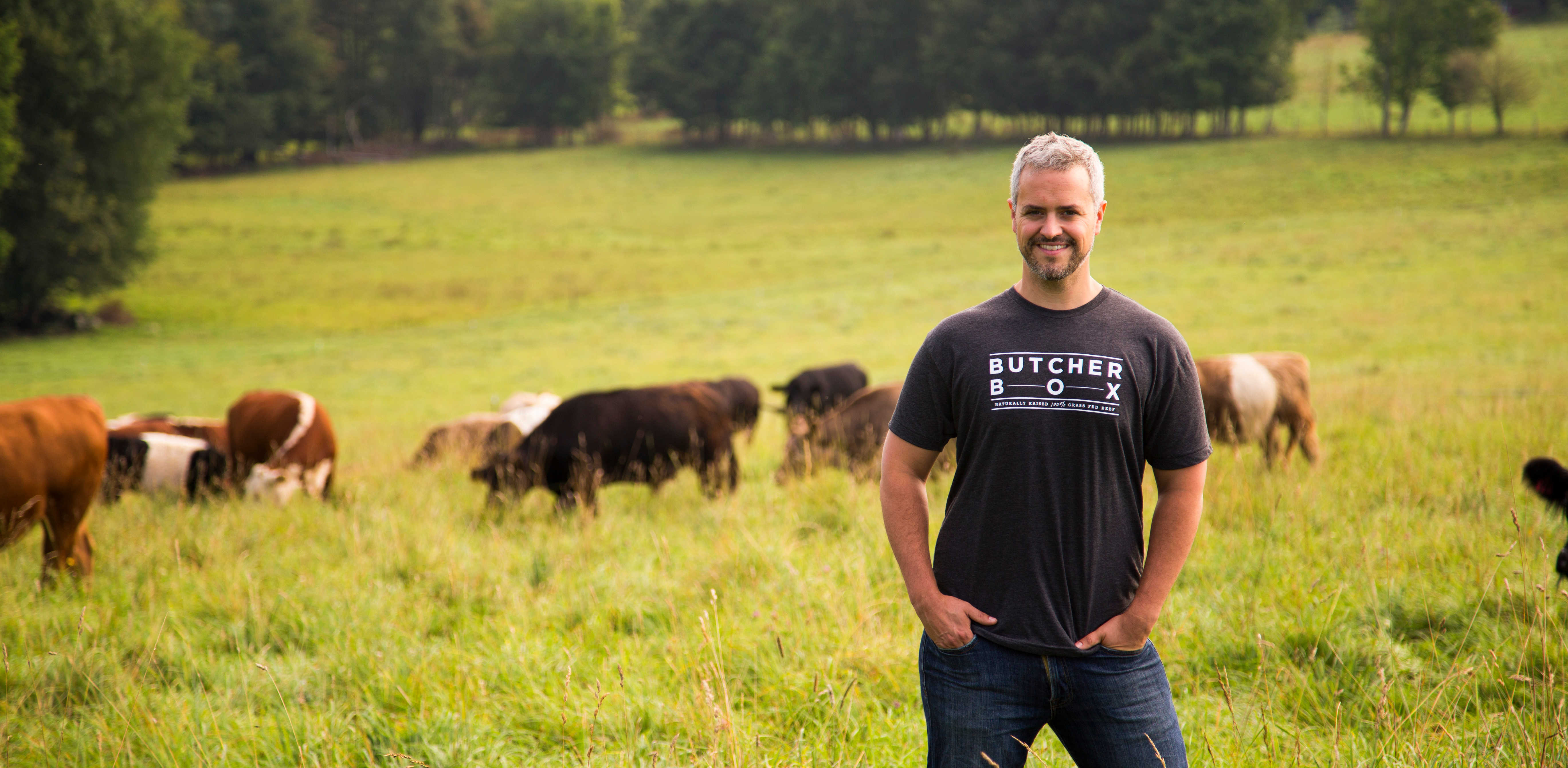 mike in field with cows