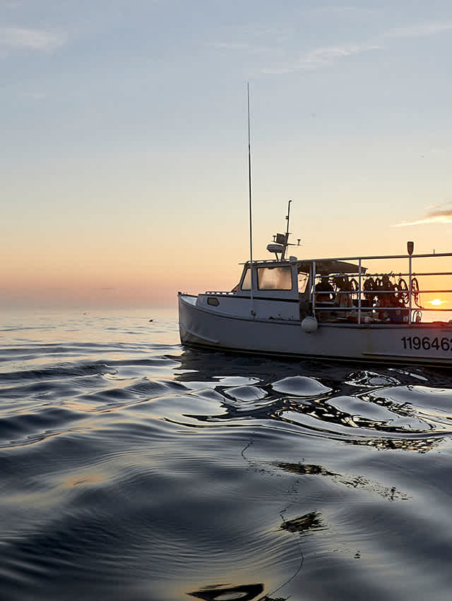 A fishing boat gliding across the ocean water, reflecting the sunlight on its surface.