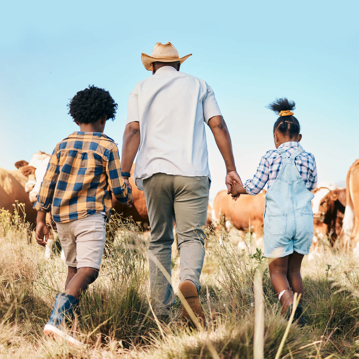 Family walking in field with cows