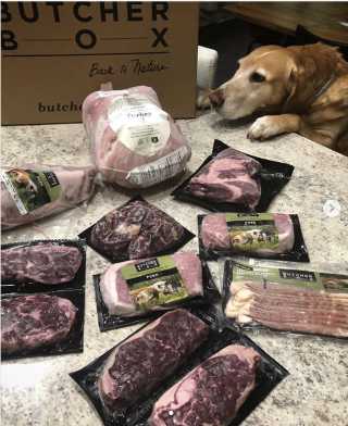 Various ButcherBox products on a marble countertop, and a dog reaching up to investigate