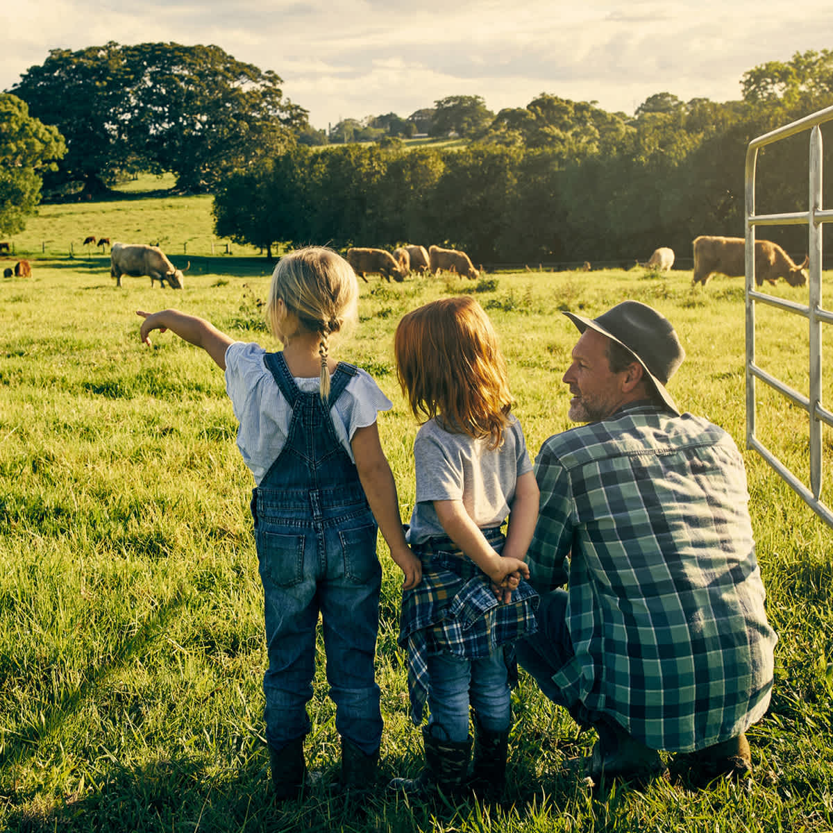 Man and two children on farms with cattle