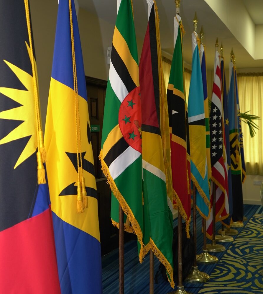 RSS Member States Flags