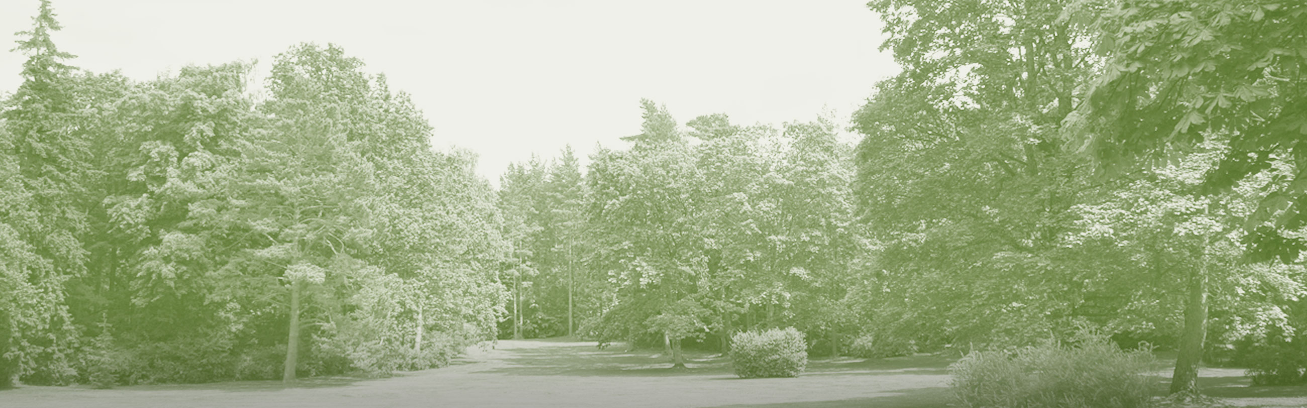 Bees Landing Recreation Complex