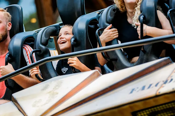 Duinrell (jongen in Falcon)