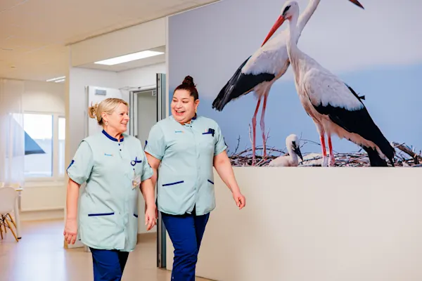 BovenIJ (langs Ooievaar)