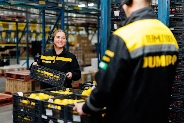 Ambassade32 Portfolio