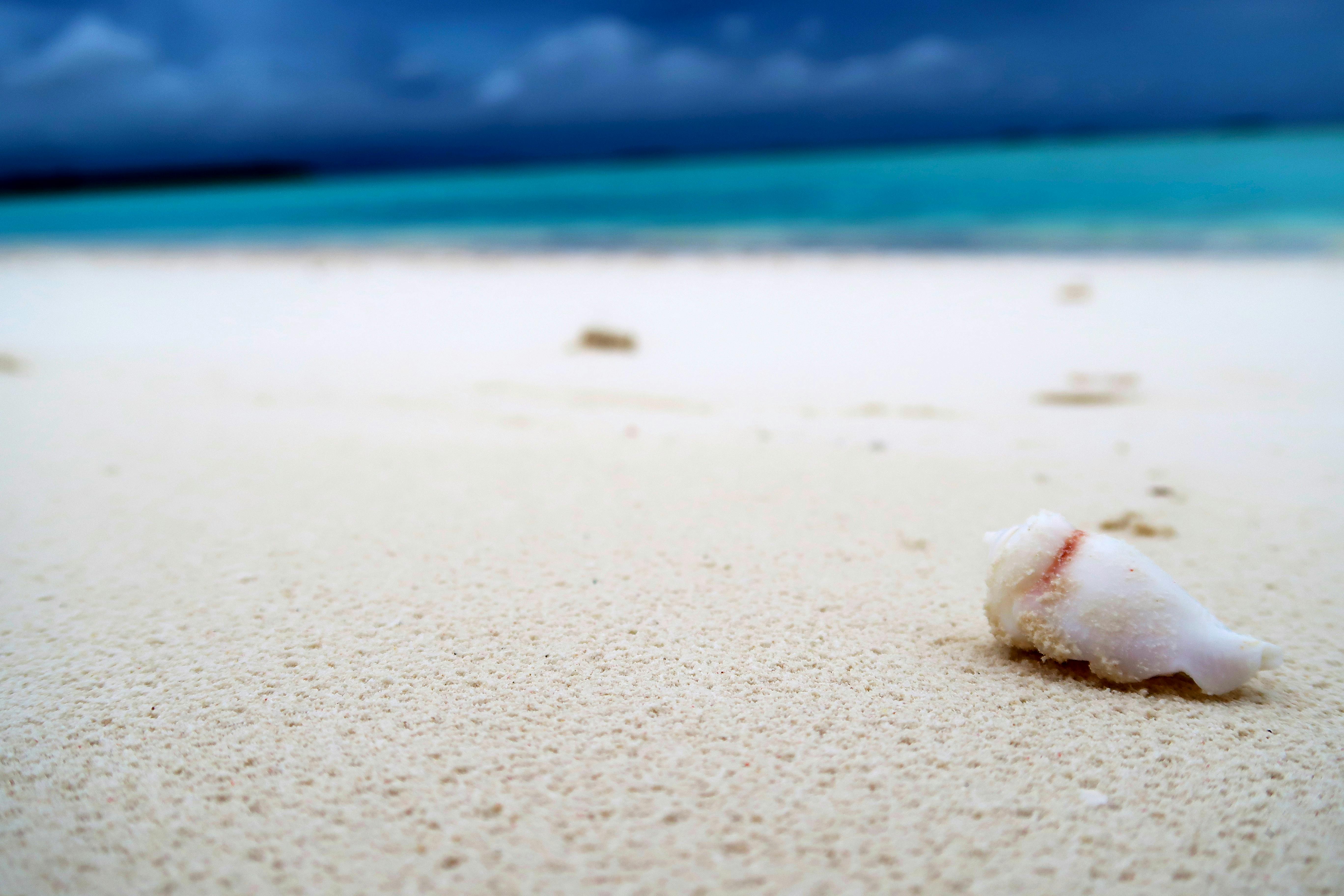 Your exploration of Sint-Maarten begins here