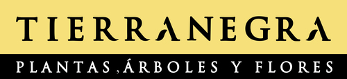 Tierranegra