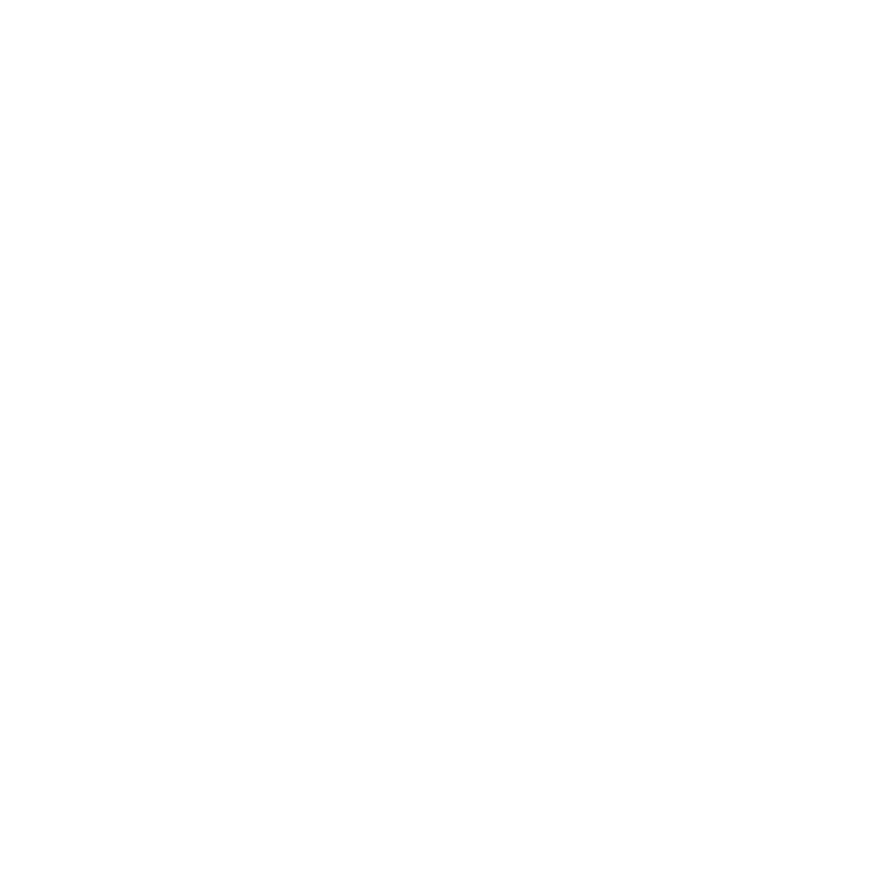 AI Coaching Networks Logo