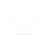 about-usp-icon