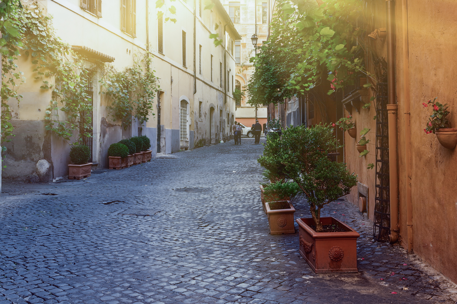 Where is the cooking school located?