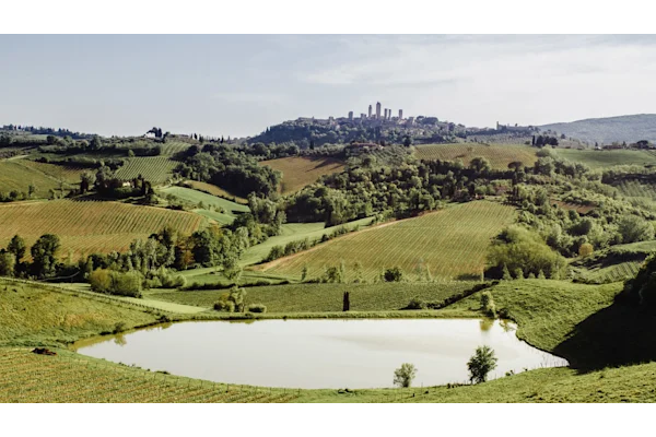 Image result for Unforgettable Tuscany Day Tours: Explore Florence's Countryside infographics