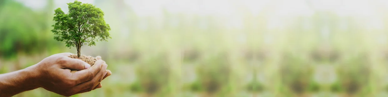 Hände halten eine kleine Pflanze mit Erde, symbolisch für Umweltschutz und Nachhaltigkeit, vor einem natürlichen, unscharfen Hintergrund. Hände halten eine kleine Pflanze mit Erde, symbolisch für Umweltschutz und Nachhaltigkeit, vor einem natürlichen, unscharfen Hintergrund.