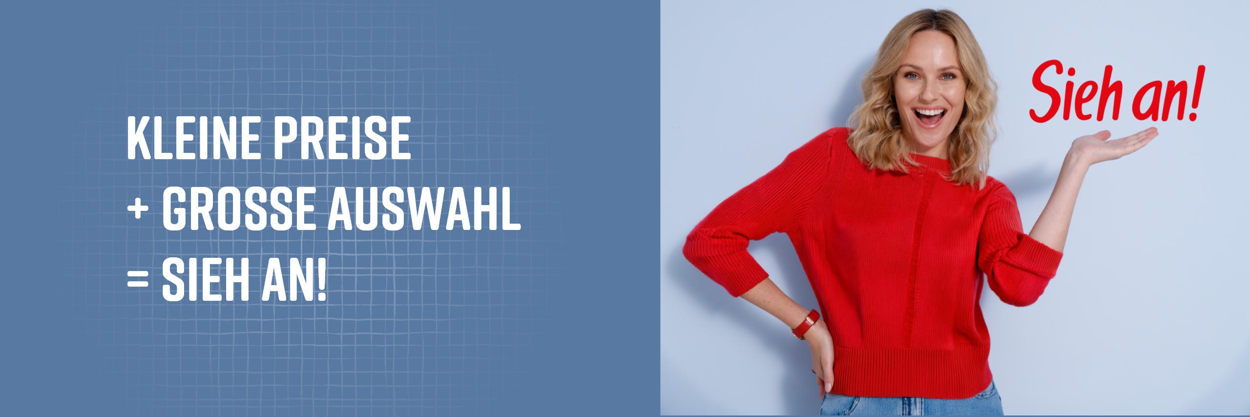 Bildbox mit blauem Hintergrund und rechts dem Text: kleine Preise + große auswahl = Siehan und links ein Bild von einer lächelnden Frau in rotem Pullover