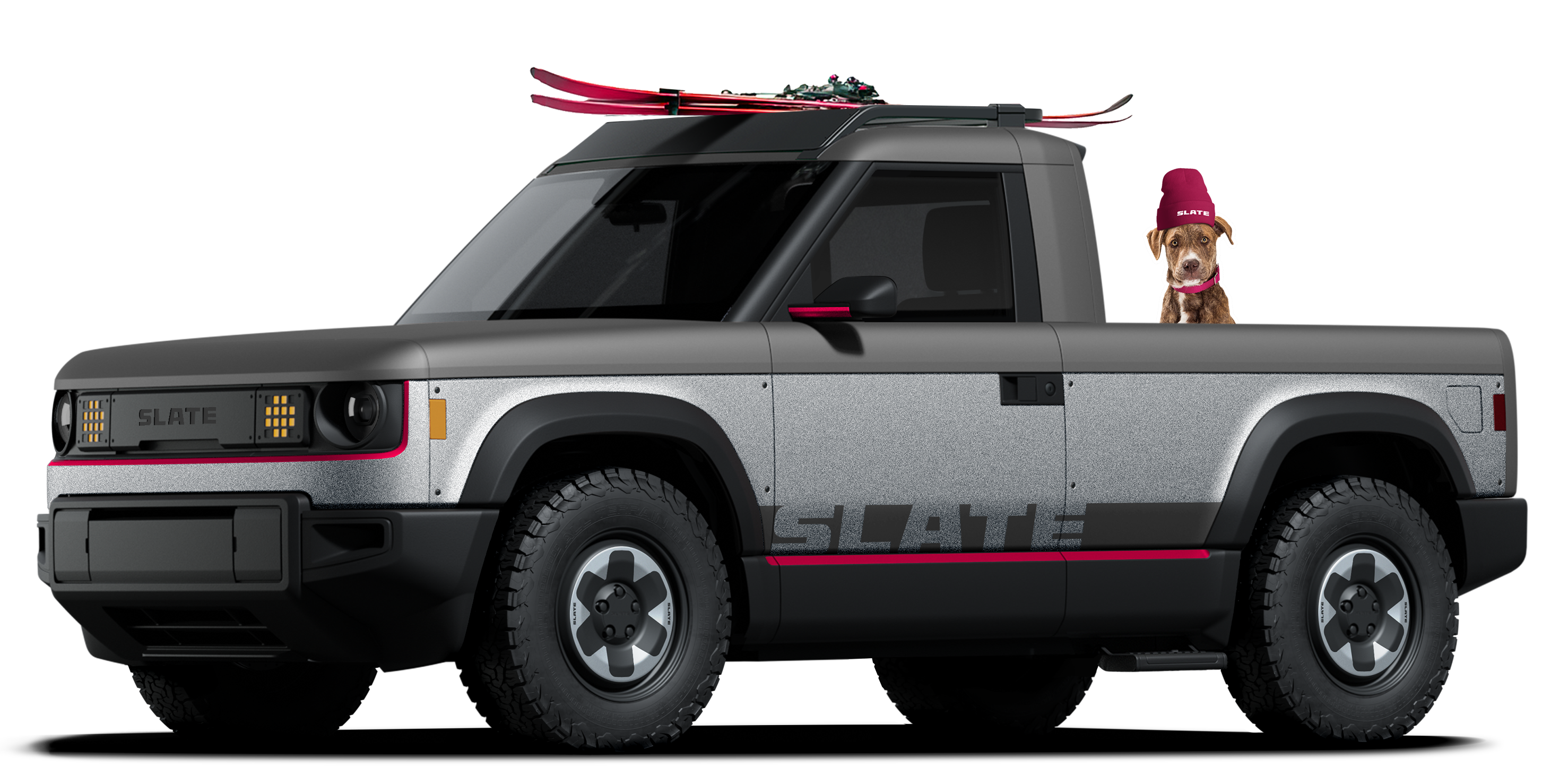 gray truck with dog and skis
