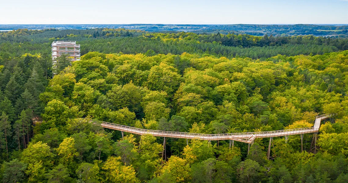 Flygfoto över en höghöjdsbana som slingrar sig genom en skog på Usedom