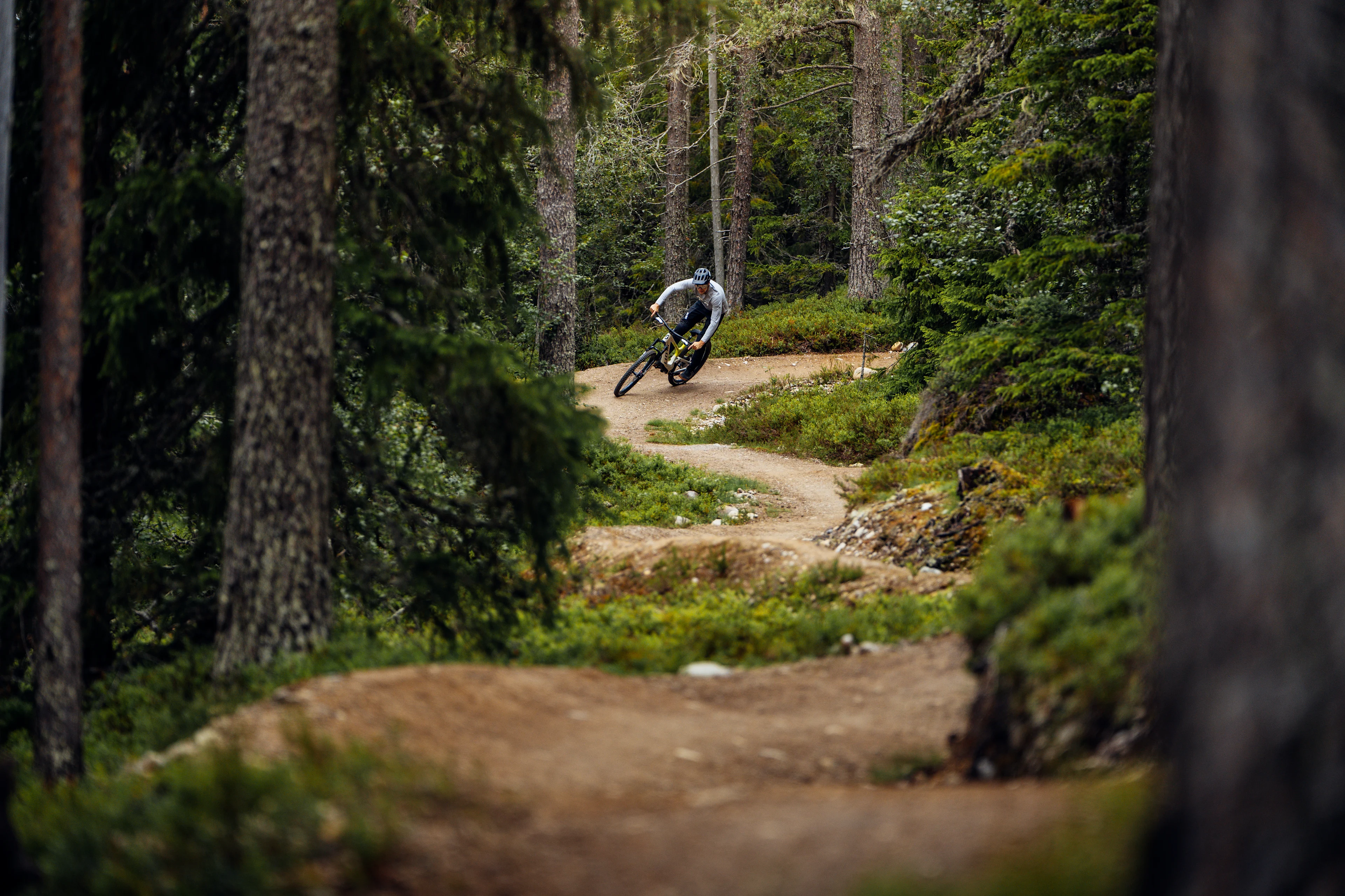 Sommer på Idre - Mountainbike