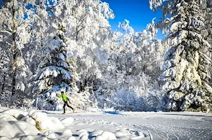 Smuk og sneklædt natur ved Falköping og Mösseberg. En person står på langrendsski og der er mange skispor i sneen.