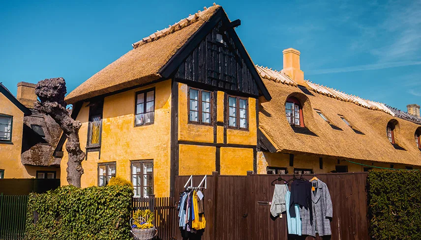 Bild från Dragørs gamla stadskärna. Man ser gula stenhus med bindverk och stråtak mot en blå sommarhimmel. I förgrunden syns en grön häck och ett plank i mörkt trä.