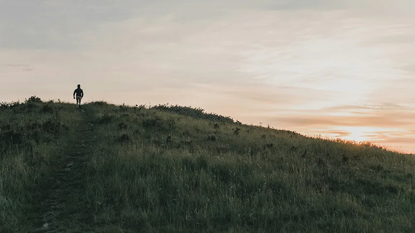 En person vandrar i solnedgången över ett grönområde utanför Köpenhamn.