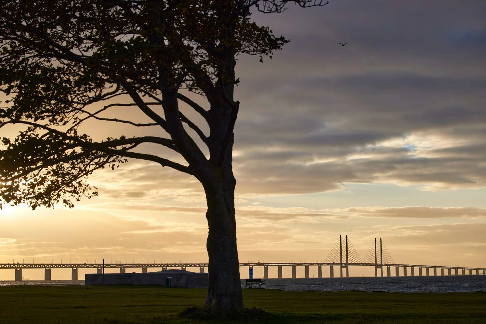 Øresundsbron at sunset