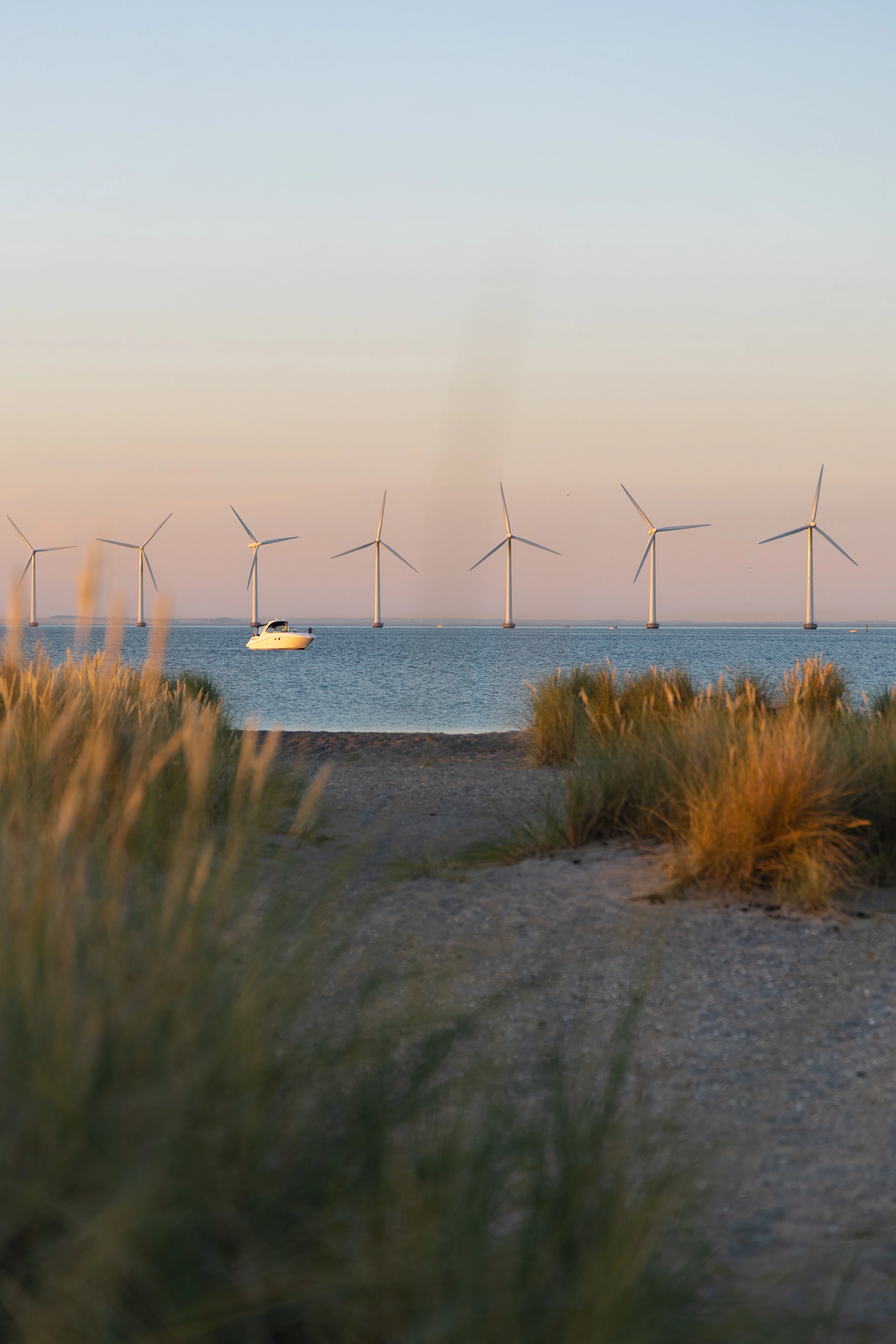 Amager strandpark lockar både turister och Köpenhamnare.