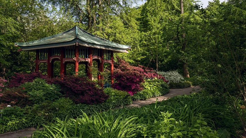Den botaniska trädgården, Botanischer Garten, i Berlin. På bilden syns lummig grönska och träd samt ett japanskt tehus och röda buskar.