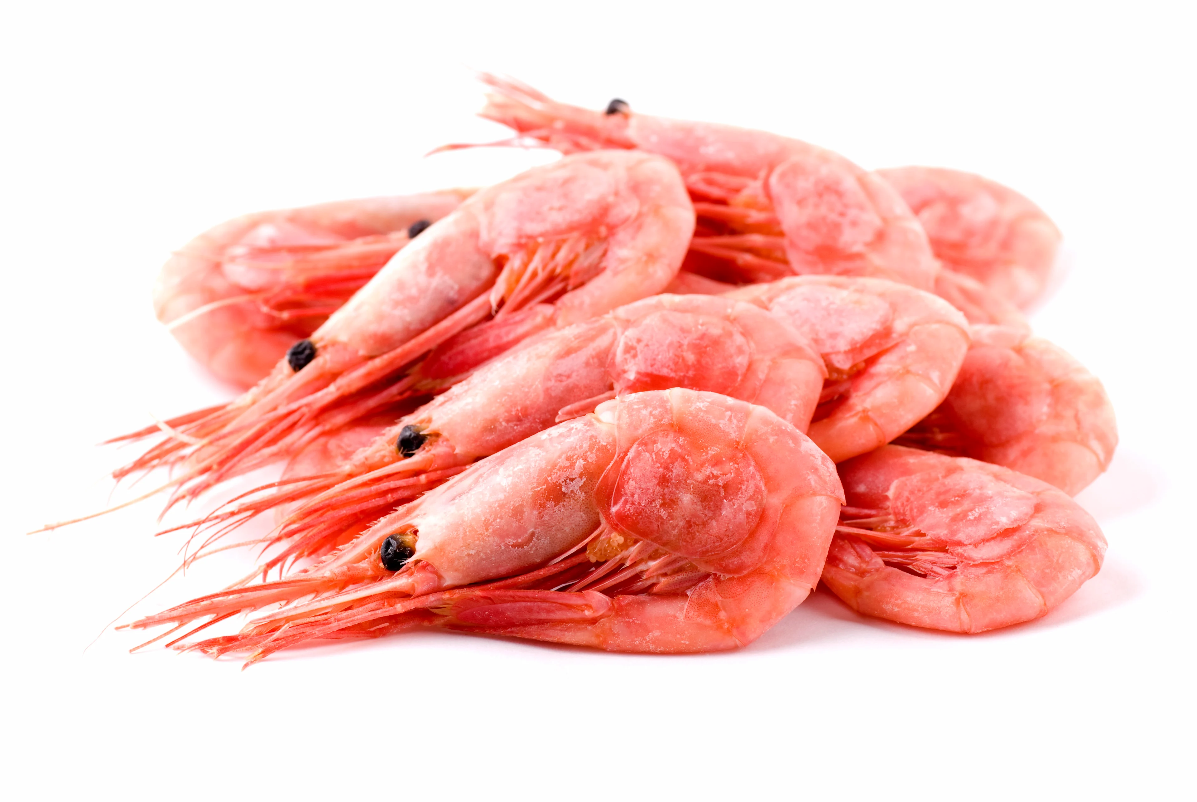 Rejer fra Fisk & Skaldjur hvor du får et godt tilbud med ØresundGO.