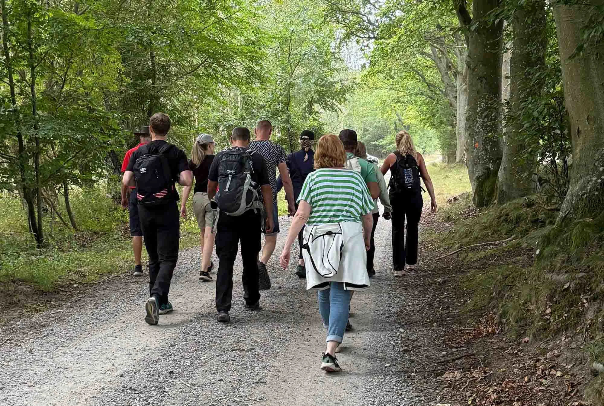 Destination Snogeholm - En gruppe eller familie på vandretur i skoven.