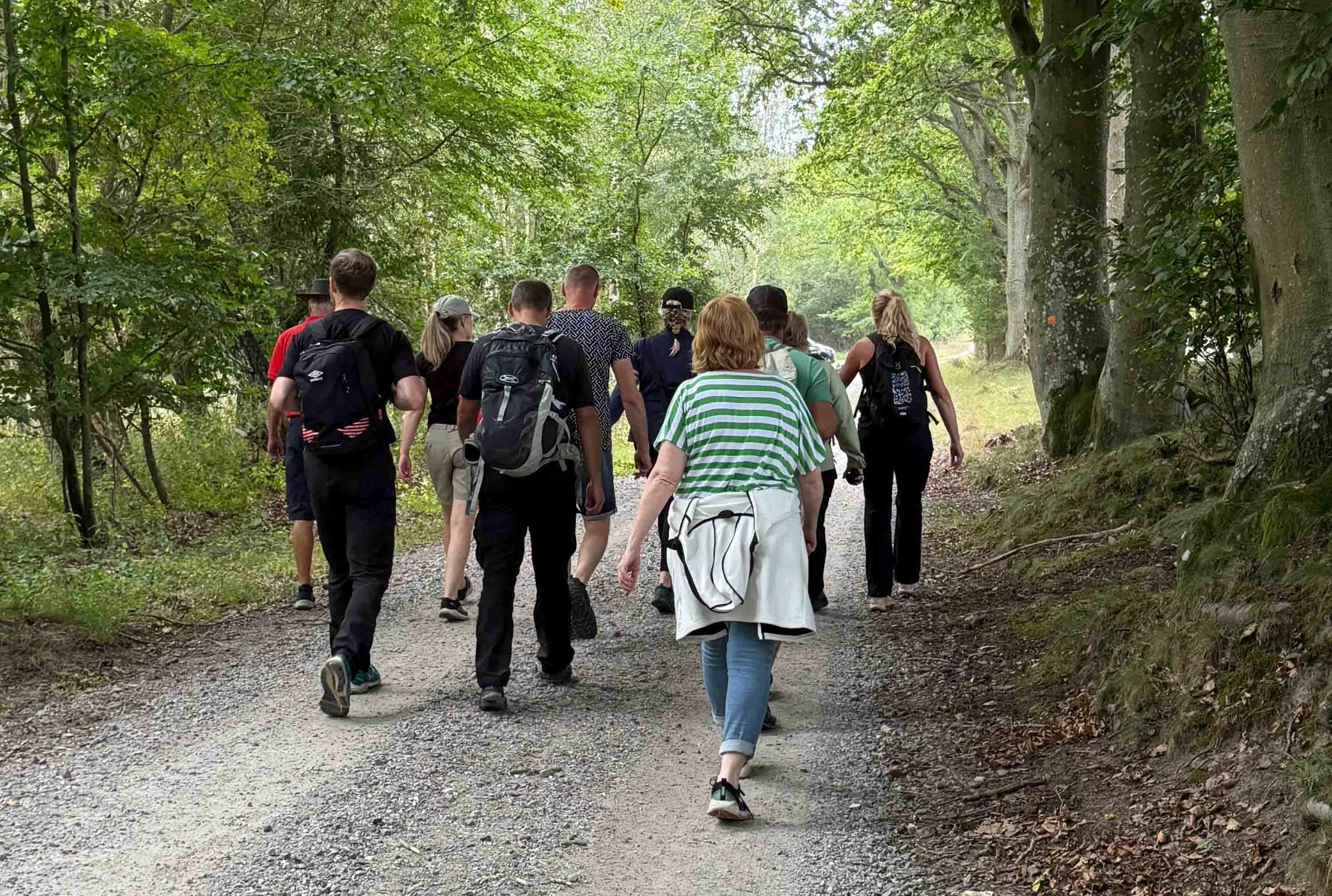 Destination Snogeholm - En gruppe eller familie på vandretur i skoven.