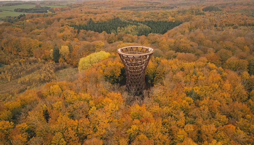 Bokskogen runt Camp Adventure i vacker höstskrud med Skovtårnet i mitten.