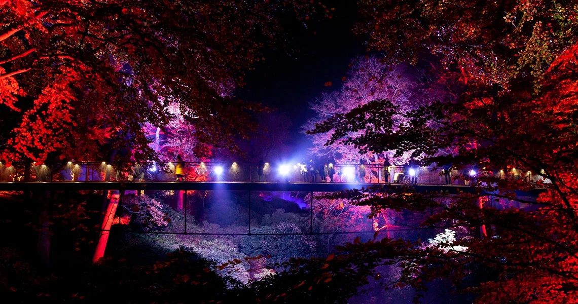 Lamper i forskellige farver lyser Sofieros & Slottspark op om aftenen.