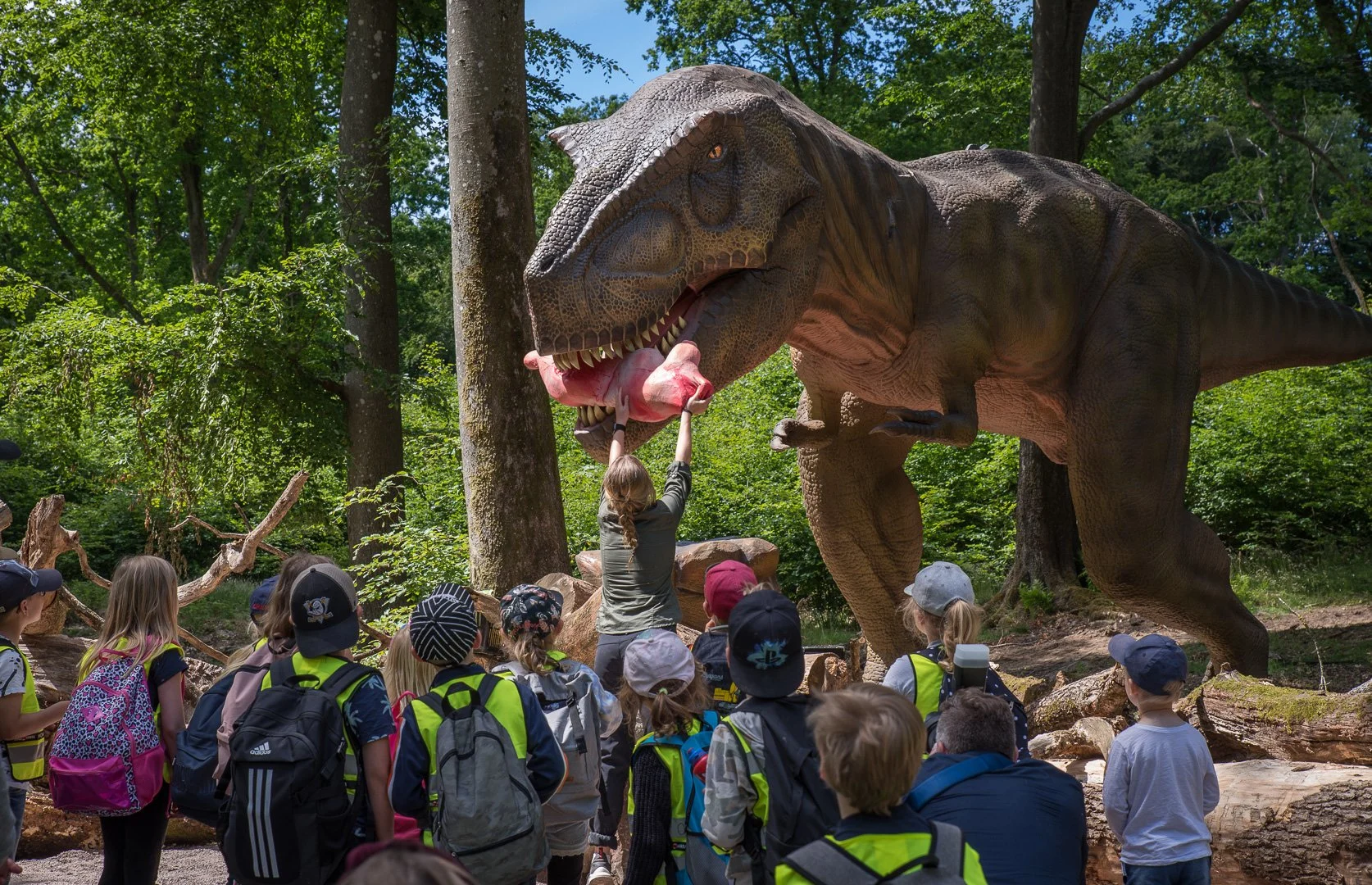 Påske i Skånes Djurpark - En flok børn står i dinoparken og ser en dinosaur blive fodret.