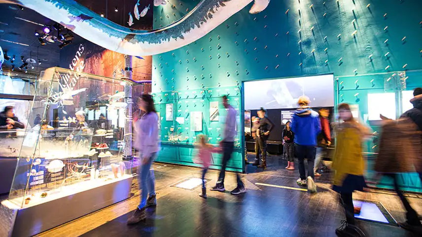 Besökare inne på Møns Klints utställning.